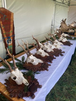 🦊🐴 Piknik sv. Huberta v Kornowaci – tradice, příroda a zážitky! Dnešní den patřil koním, myslivcům a milovníkům...